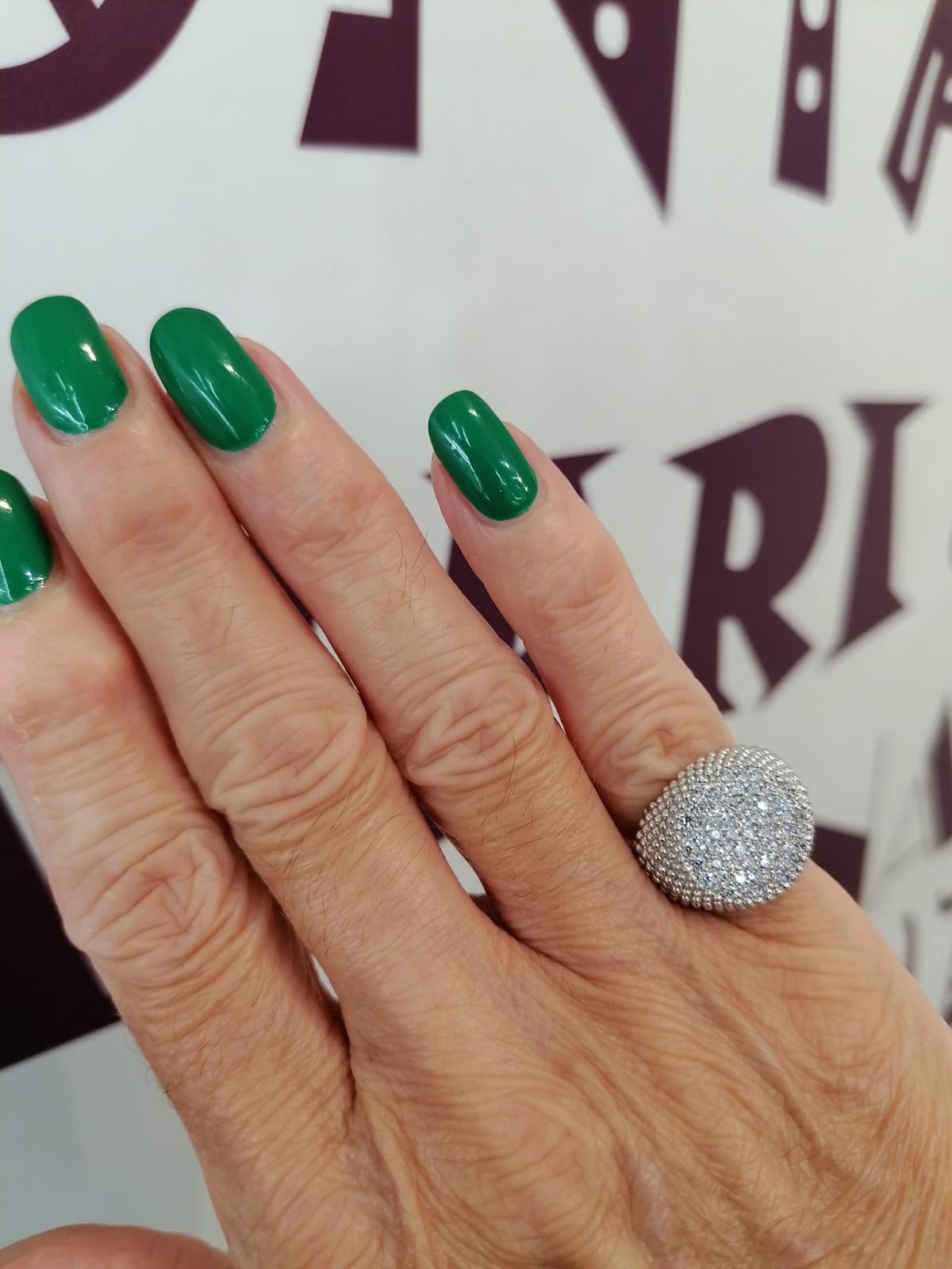 Chevalier puntinato con zirconi